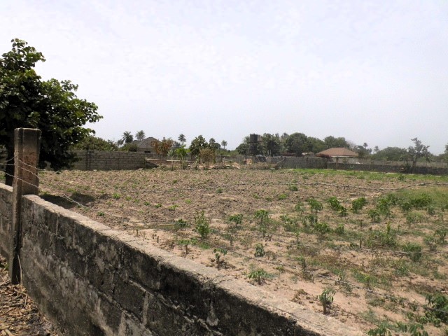 Fenced Empty Land for Sale at Tujereng