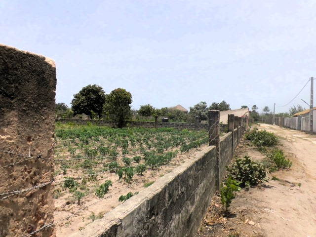 Fenced Empty Land for Sale at Tujereng