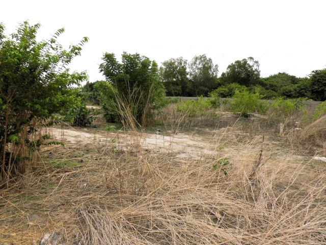 Fenced Empty Land for Sale at Busumbala