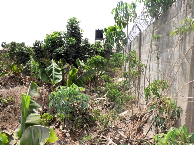 Busumbala Empty Plot for residence measuring 38 x 22