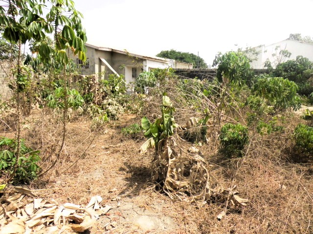 Busumbala Empty Plot for residence measuring 38 x 22