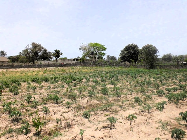 Fenced Empty Land for Sale at Tujereng