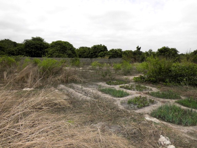 Fenced Empty Land for Sale at Busumbala