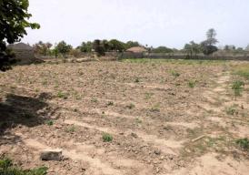 Fenced Empty Land for Sale at Tujereng