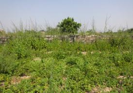 Empty land for sale at Tujereng Estate