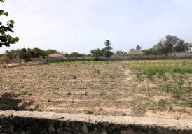 Fenced Empty Land for Sale at Tujereng